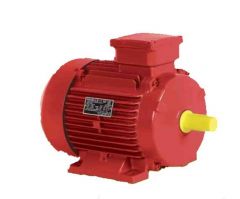 Havells MHNGTJS29050 2 Pole 3 Phase 12.5 HP 2930 RPM IE2 Fire Fighting Motors