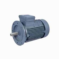 Havells F4301 Single Phase 3.0 HP 4 Pole Electric Motor Flange Mounted