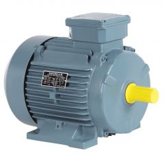Havells ES4400 Single Phase 4.0 HP 1440 RPM 4 Pole Cast Iron Foot Mounted Electric Motor 