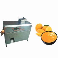 Small 50 KG Mango Pulp Machine 