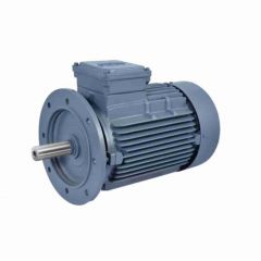 Havells F4053 Single Phase 0.5 HP 4 Pole Electric Motor Flange Mounted